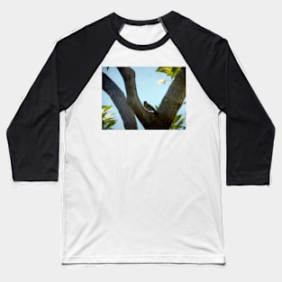 A Bird in a Tree Baseball T-Shirt